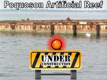 Poquoson Reef Under Construction