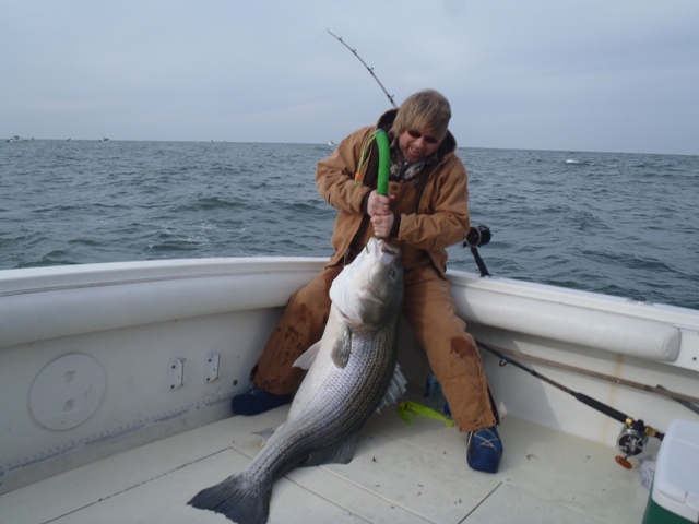 Striped Bass Record Jan 20, 2012