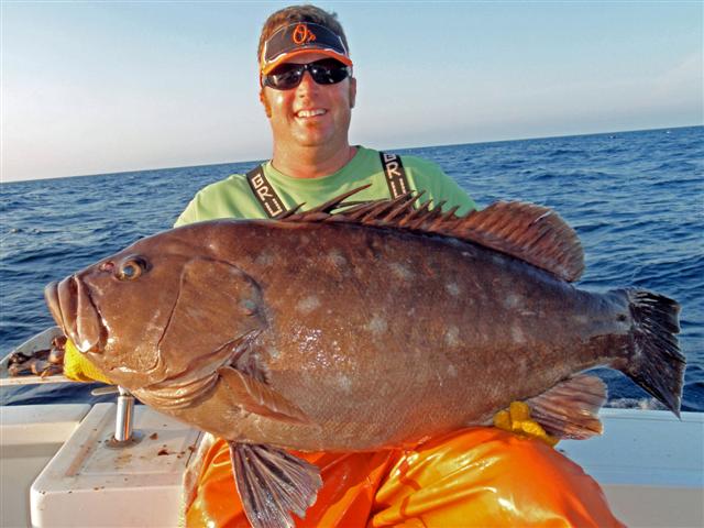 Record Snowy Grouper