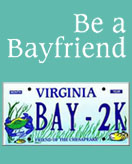 Chesapeake Bay Plate