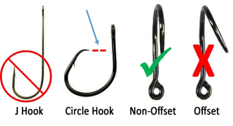 circle hooks