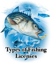 License Types
