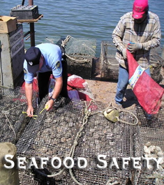 Seafood Safety