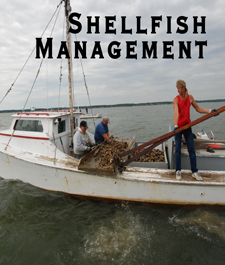Shellfish Management