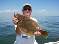 summer flounder pic