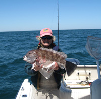 tautog pic 2