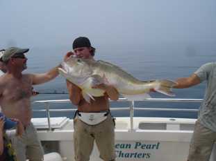 Picture of State Record Golden Tilefish