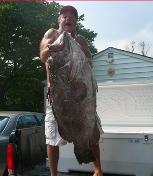 Picture of State Record Snowy Grouper